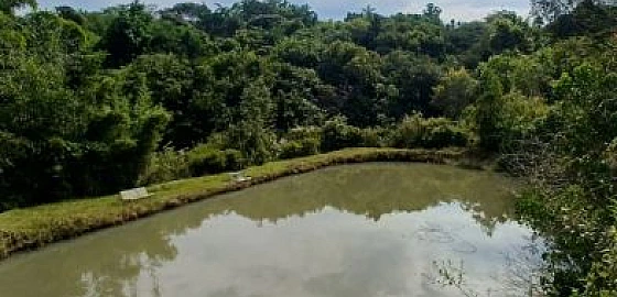 Foto imóvel